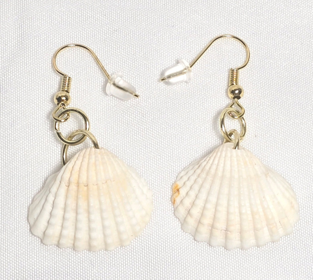 Natural shell earrings : coastal beach statement earrings with gold plated hooks