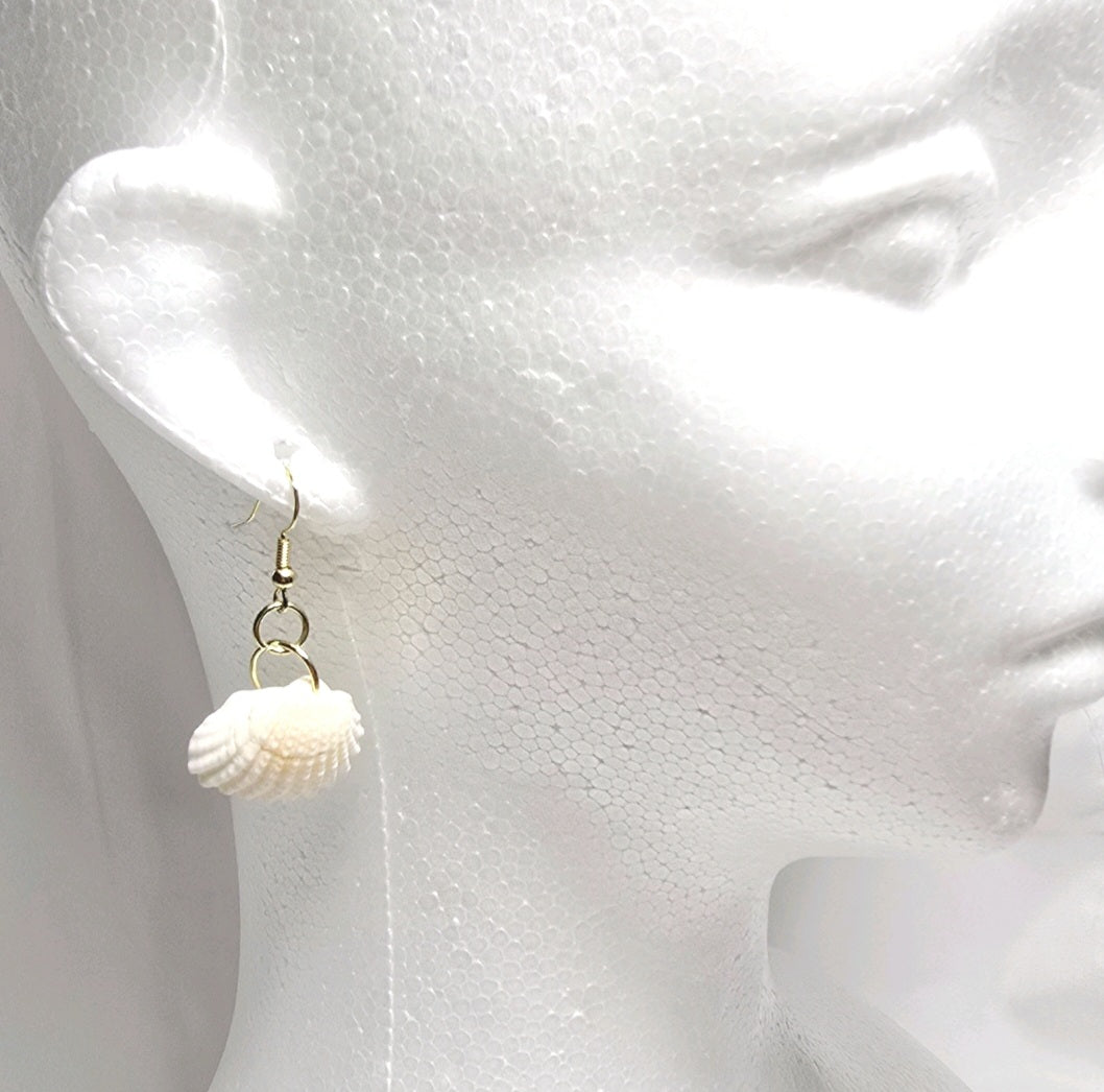 Natural shell earrings : coastal beach statement earrings with gold plated hooks