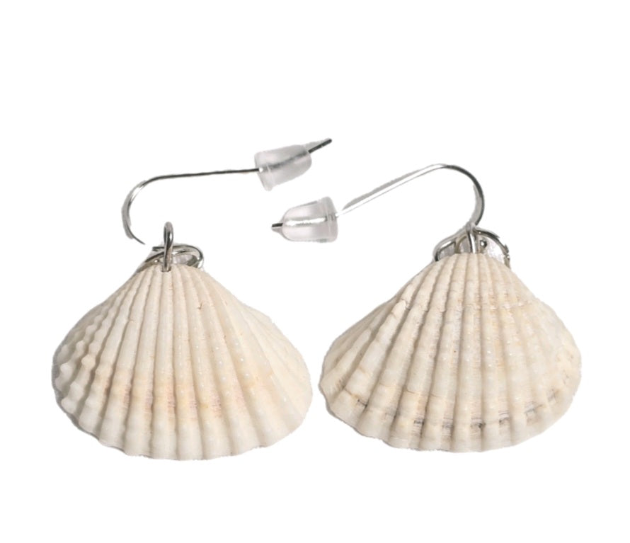 Natural Shell Earrings with Blue Glass Bead and faux pearl: Coastal Beach Statement Jewelry