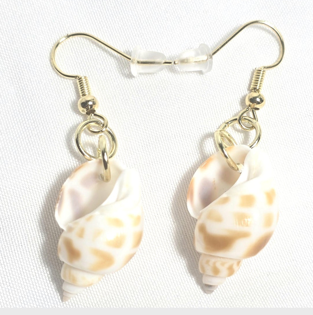 Natural shell earrings : coastal beach statement earrings with gold plated hooks