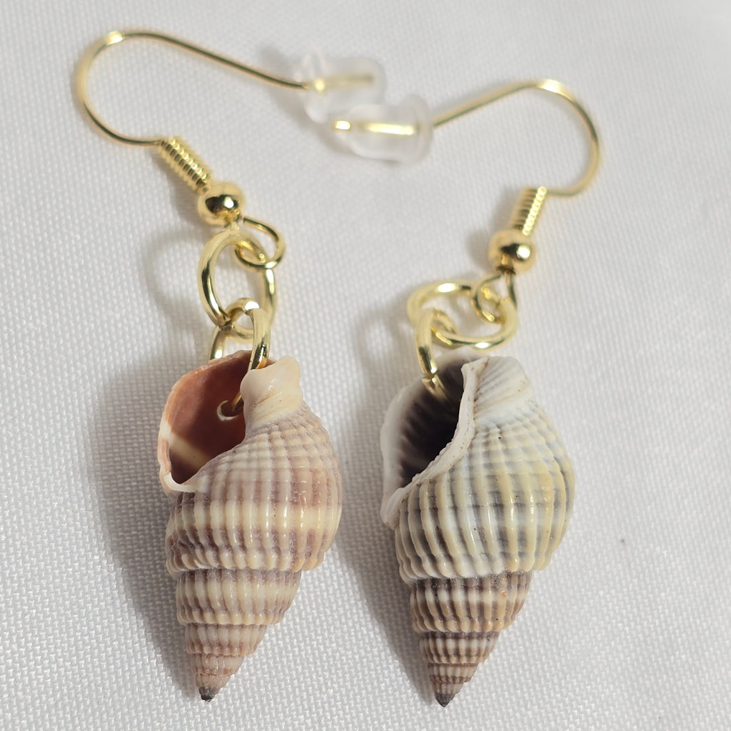Natural shell earrings : coastal beach statement earrings with gold plated hooks