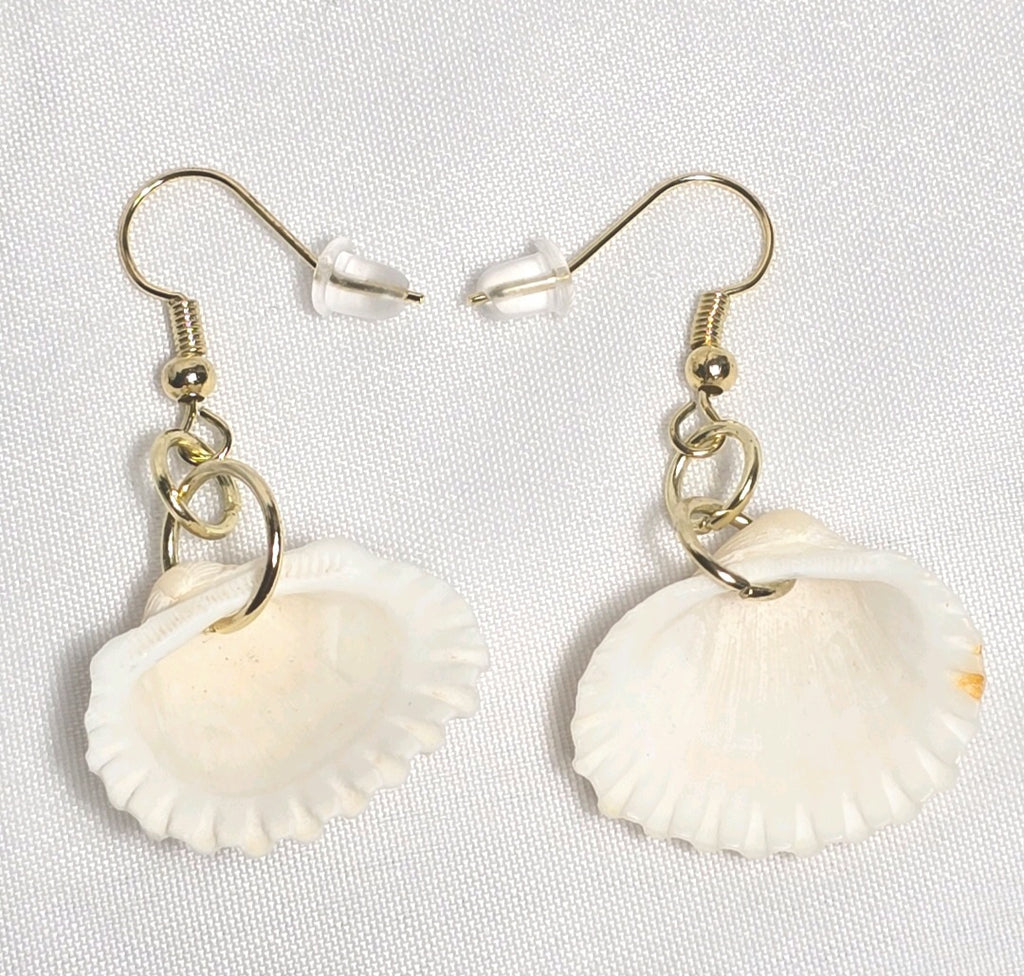 Natural shell earrings : coastal beach statement earrings with gold plated hooks
