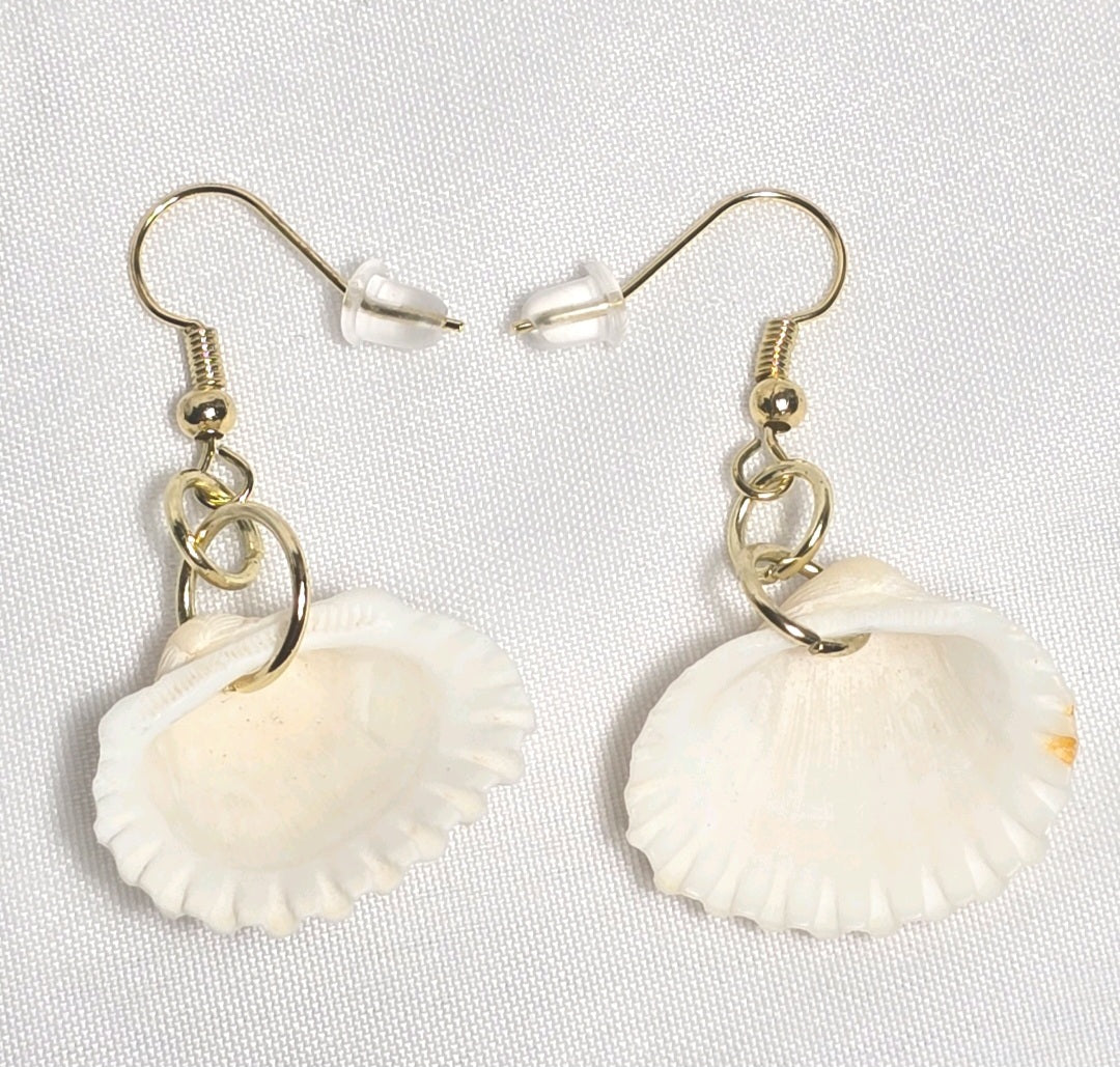 Natural shell earrings : coastal beach statement earrings with gold plated hooks