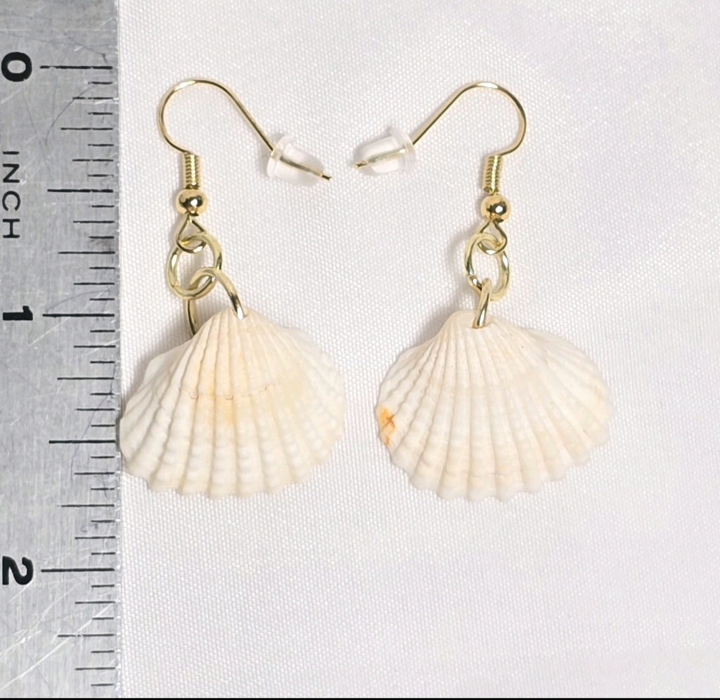 Natural shell earrings : coastal beach statement earrings with gold plated hooks