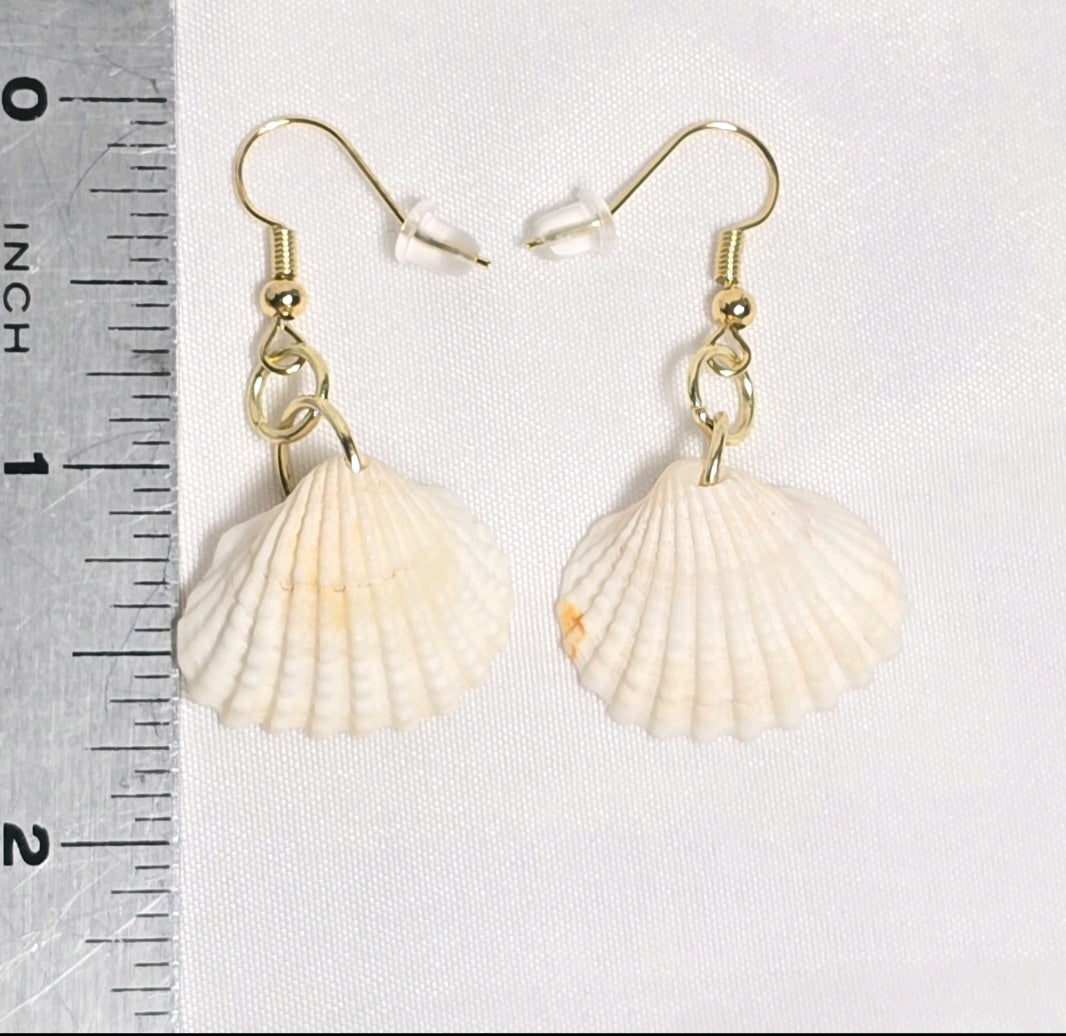 Natural shell earrings : coastal beach statement earrings with gold plated hooks