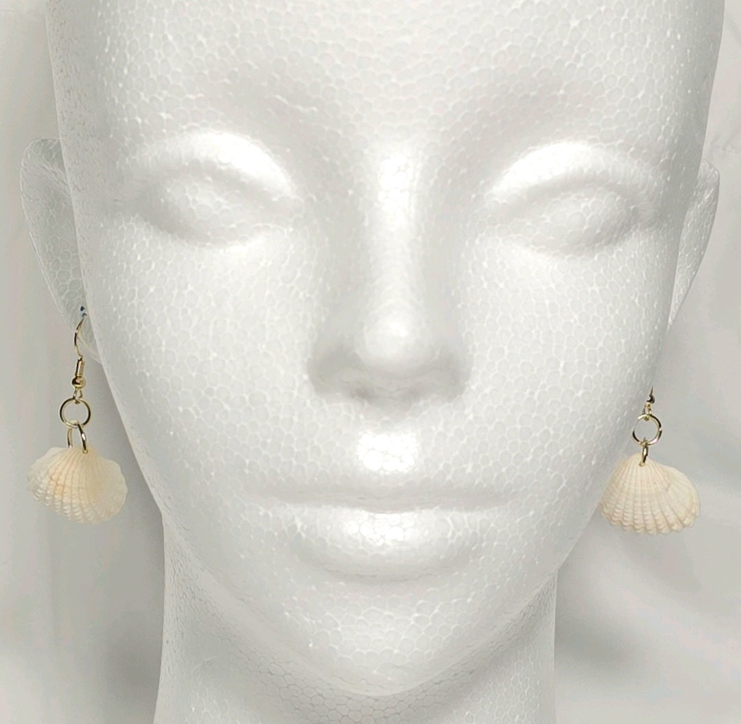 Natural shell earrings : coastal beach statement earrings with gold plated hooks