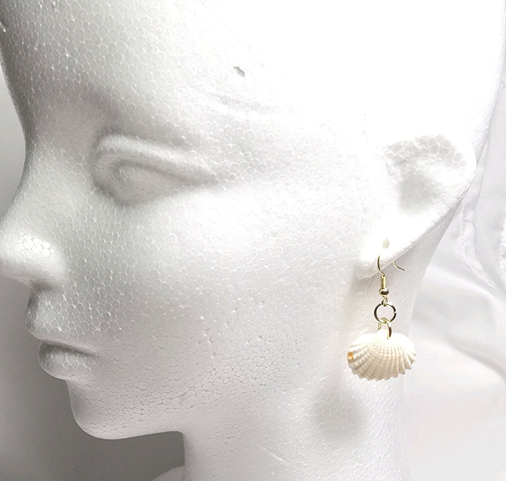 Natural shell earrings : coastal beach statement earrings with gold plated hooks