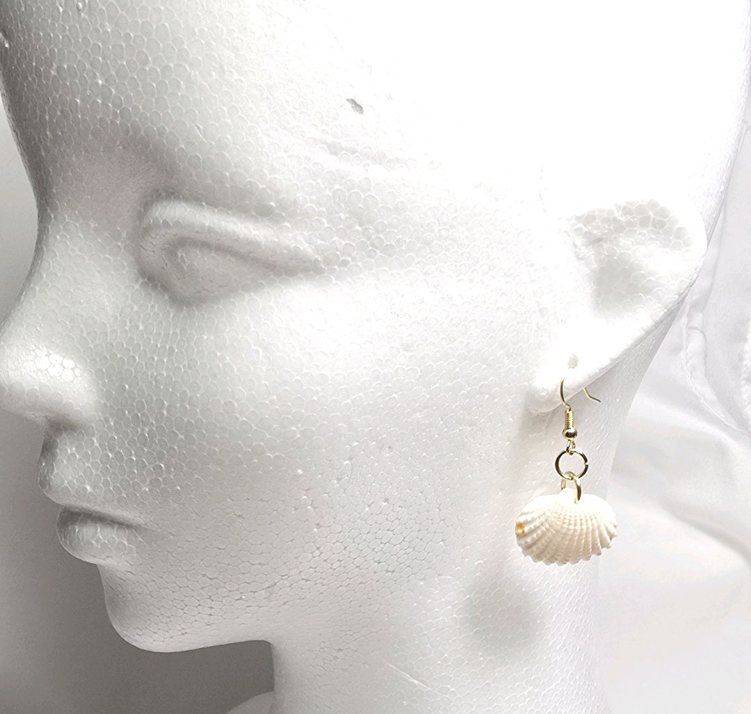 Natural shell earrings : coastal beach statement earrings with gold plated hooks