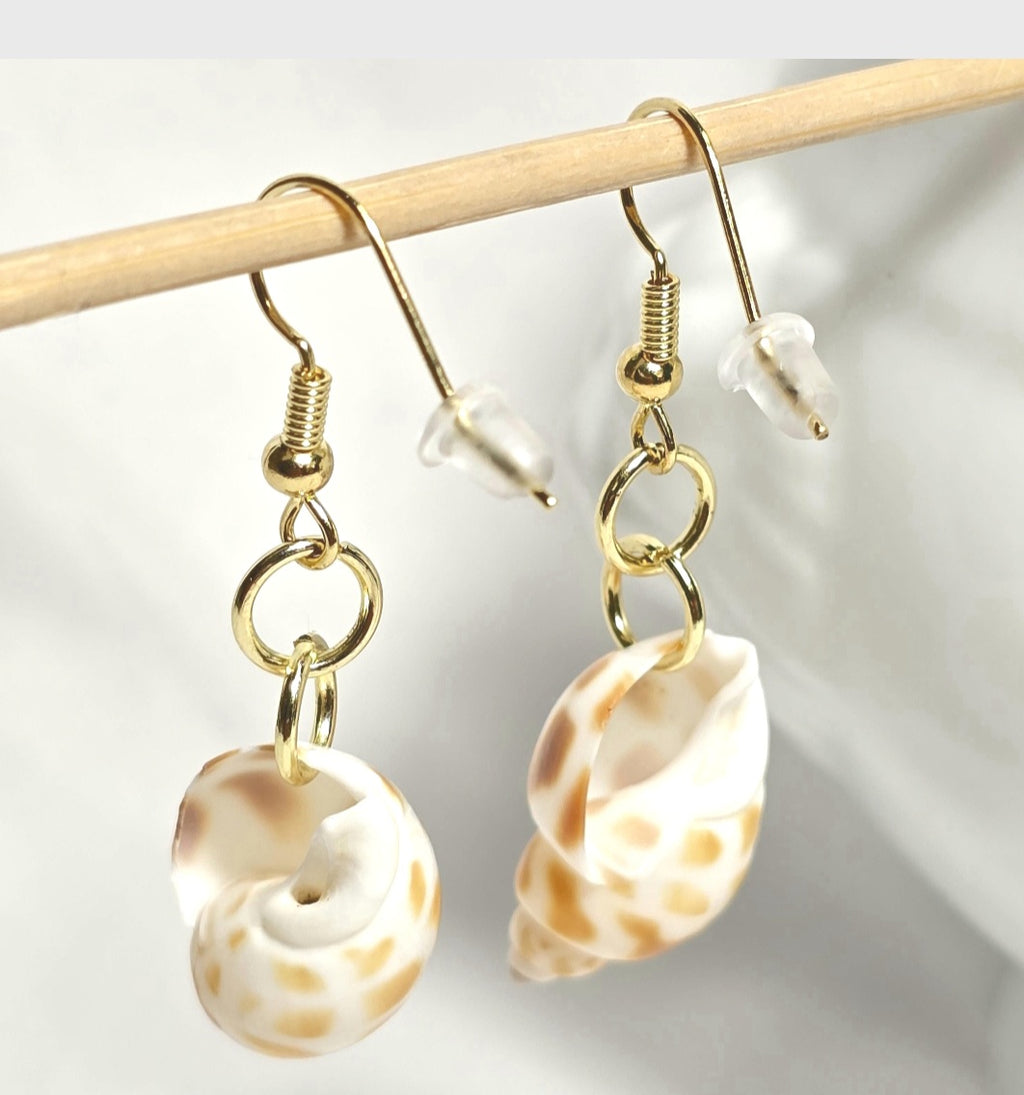 Natural shell earrings : coastal beach statement earrings with gold plated hooks