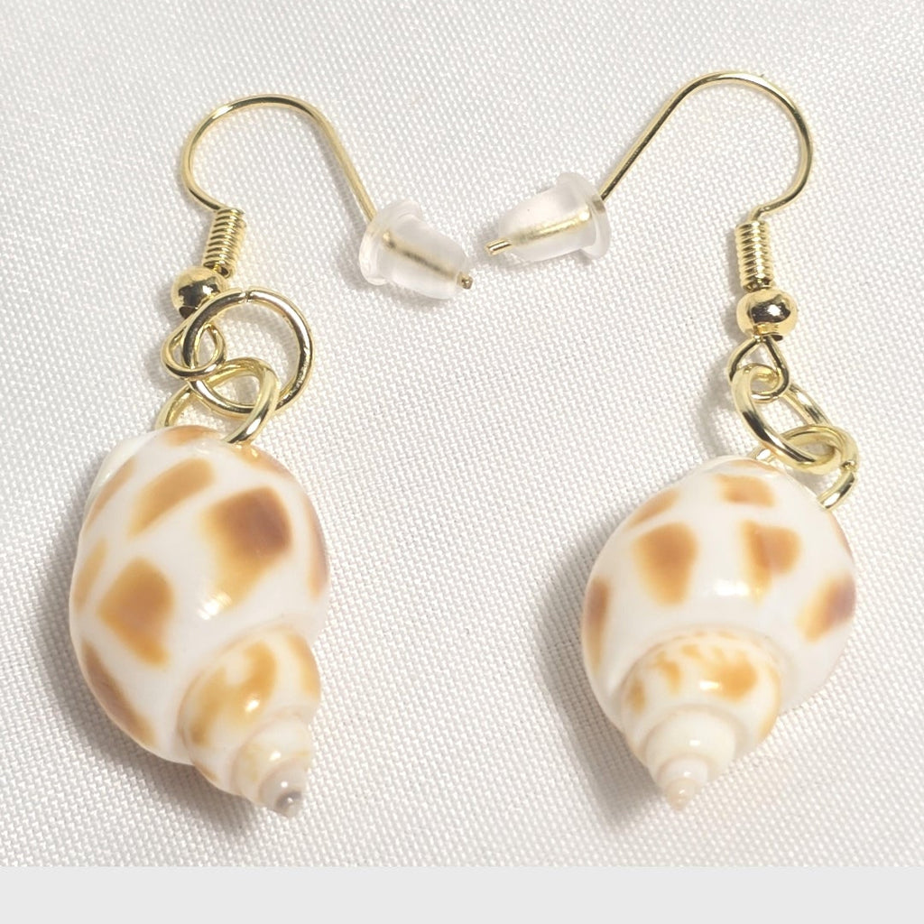 Natural shell earrings : coastal beach statement earrings with gold plated hooks