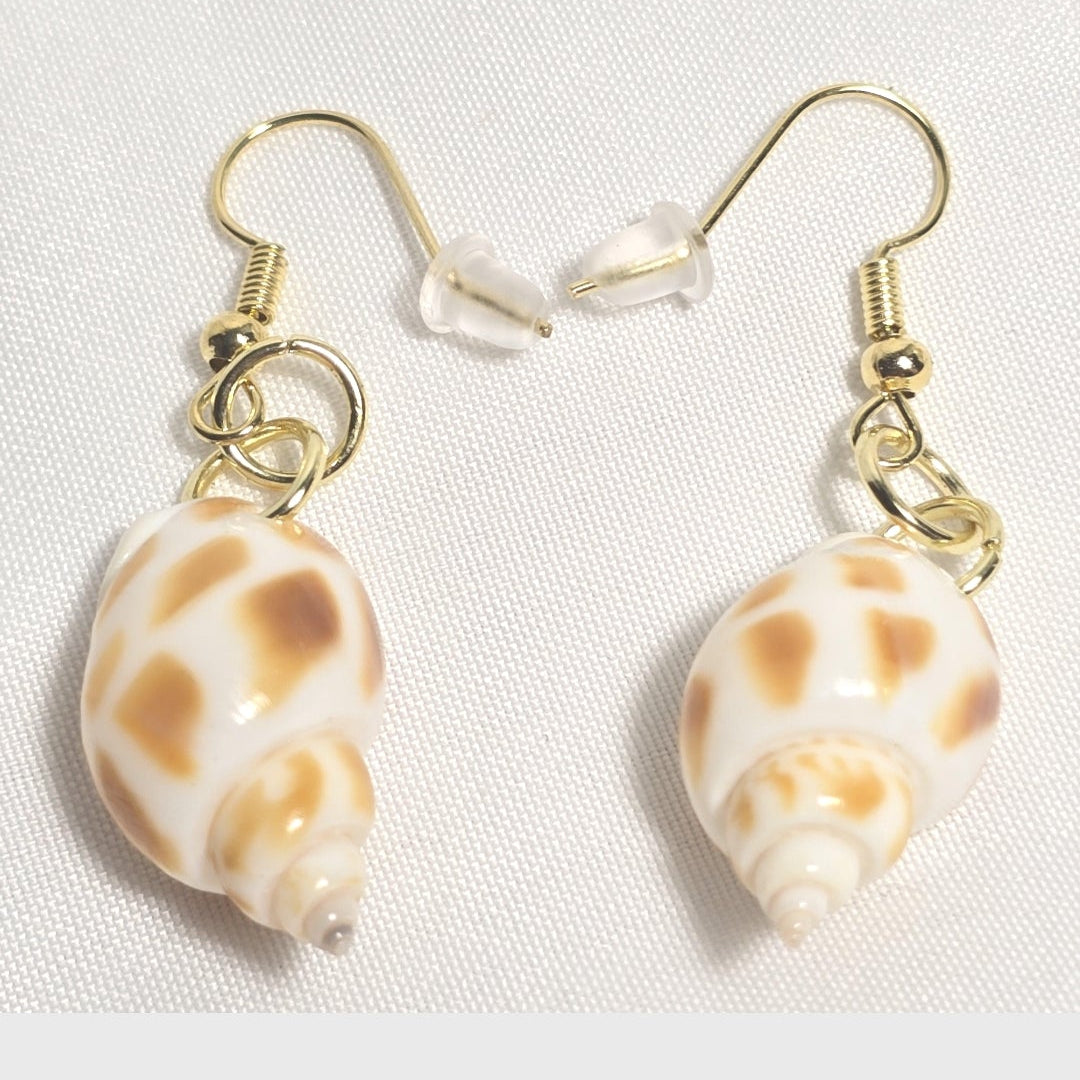 Natural shell earrings : coastal beach statement earrings with gold plated hooks