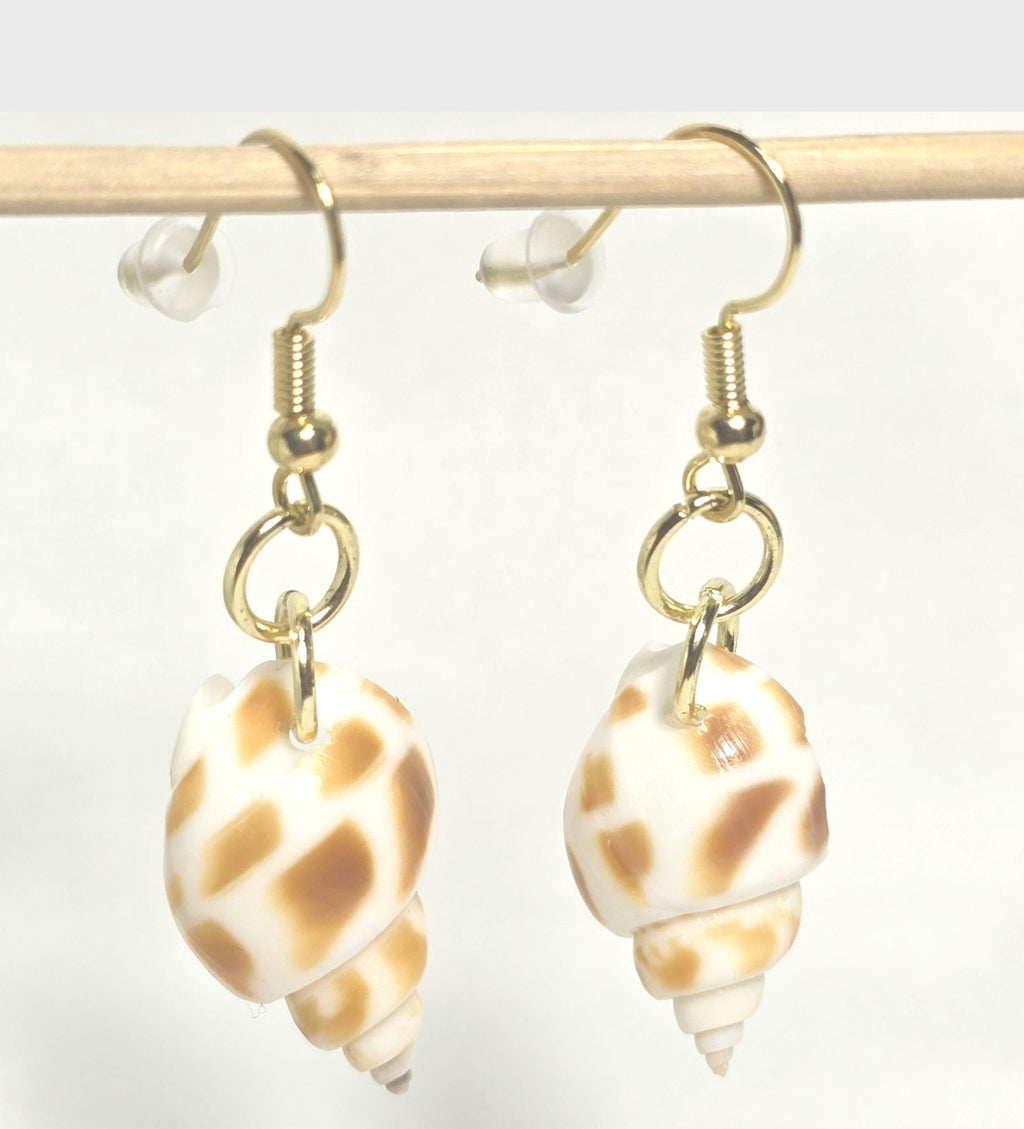 Natural shell earrings : coastal beach statement earrings with gold plated hooks