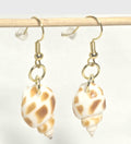 Natural shell earrings : coastal beach statement earrings with gold plated hooks