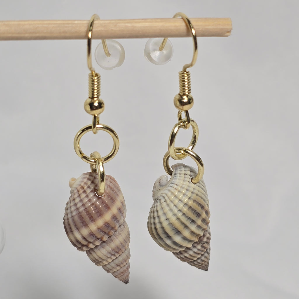 Natural shell earrings : coastal beach statement earrings with gold plated hooks