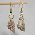 Natural shell earrings : coastal beach statement earrings with gold plated hooks