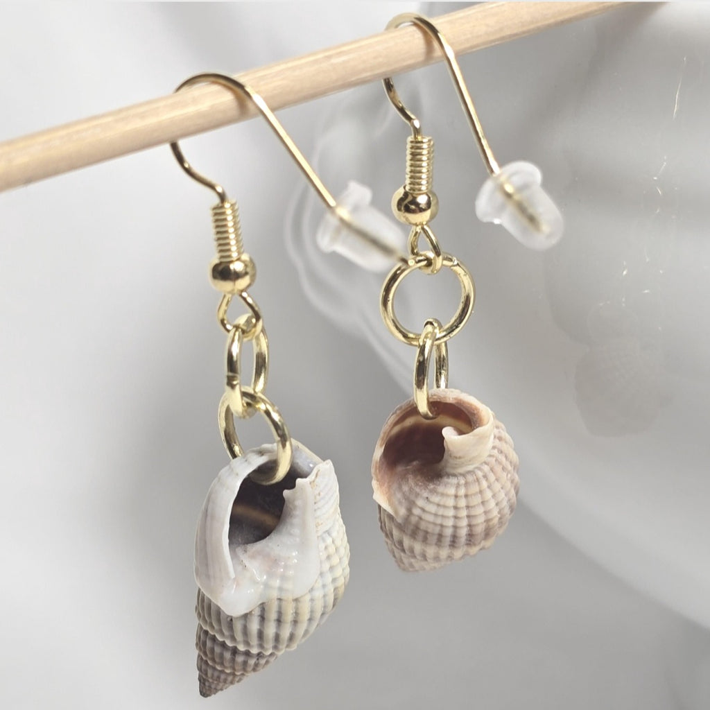 Natural shell earrings : coastal beach statement earrings with gold plated hooks