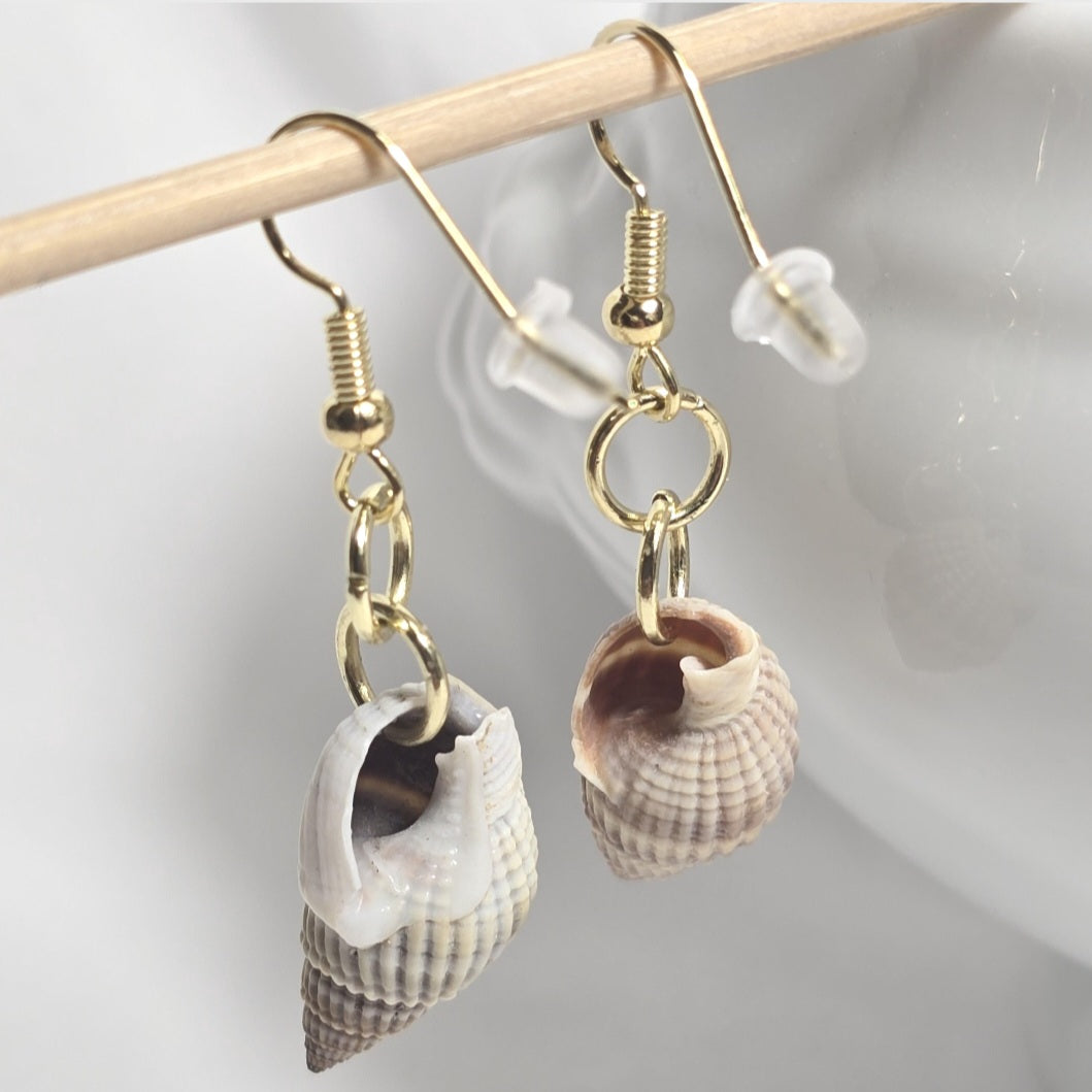 Natural shell earrings : coastal beach statement earrings with gold plated hooks