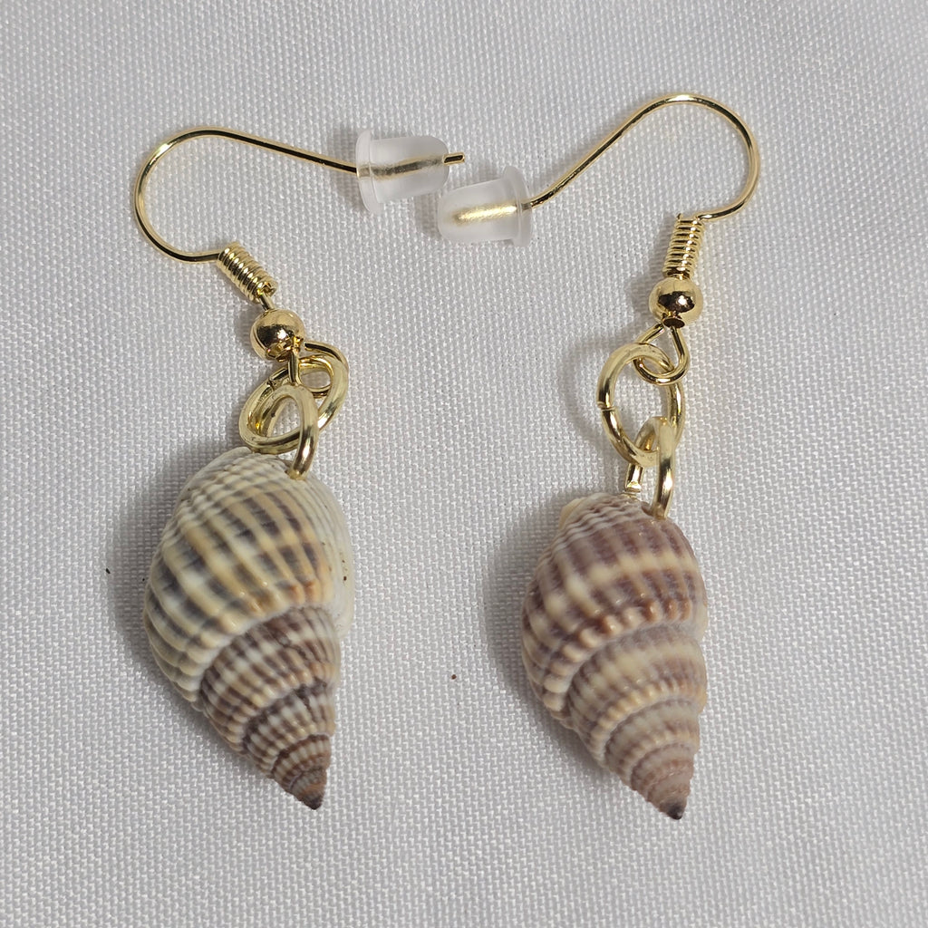 Natural shell earrings : coastal beach statement earrings with gold plated hooks